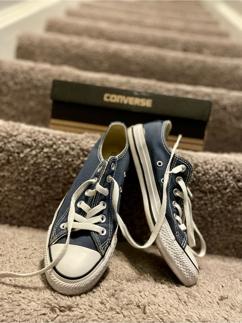 Converse Women’s Navy and White Low-Top Canvas Sneakers